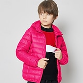 economico Giacca in piuma e parka per ragazzi-Da ragazzo 3D Liscio Cappotto Manica lunga Inverno Attivo Fantastico Poliestere Bambino 3-13 anni Sport Standard