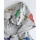 billiga Huvtröjor och tröjor för pojkar-Barn Pojkar hoodie med dragkedja Tecknat Långärmad Dragkedja Höst Grundläggande Bomull Utomhus