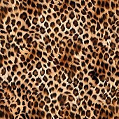 billige fleecejakke for menn-Herre Grafisk Leopardprint Vinterfrakk Fleece-jakke Frakk Hold Varm Bekvem Fritid Dagligdagstøy Glidelås Lomme 3D-utskrift Høst Vinter Med hette Langermet Gul Blå Brun