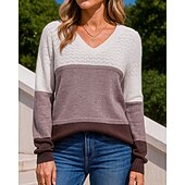 billiga Huvtröja &amp; Sweatshirt-Dam Stickad tröja Pullover tröja Ihålig Långärmad Överdelar Fritids- Höst V-hals Färgblock Mode Utomhus Resor Sport Sportkläder Sportkläder Vinrött Svart Vit