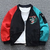halpa Poikien baseball-takit-Lapset Sukupuolineutraali Baseball-takit Päällysvaatteet Väripalikka Pitkähihainen Vetoketju Kevyt Comfort Soft Takki ulko- Muoti Päivittäin Musta Apila Kevät Syksy 4 vuotta +