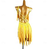 cheap Competition Dress-Women's Black Fringe Latin Dance Dress with Rhinestone Detailing, Sleeveless, and Crisscross Straps – Perfect for Salsa, Rumba, and Performance Wear