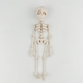 levne Party Supplies-3D tištěné kostrové lidské klouby pohyblivé dětské halloweenské hračky kreativní samolepky na ledničku