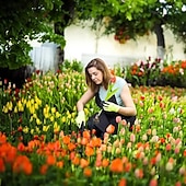 voordelige tuin handgereedschap-onkruidverwijderaar voor in de tuin, onkruidverwijderaar met 4 tanden, onkruidverwijderaar van mangaanstaal, onkruidverwijderaar voor moestuinieren en planten