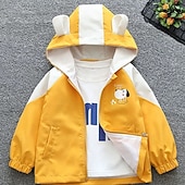 billiga Pojkars basebolljackor-Barn Unisex Baseballjackor Ytterkläder Färgblock Långärmad Dragkedja Ficka Lättvikt Komfort Mjukt Täcka Utomhus Mode Dagligen Gul Ljusblå Vår Höst 4 år +