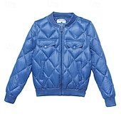 baratos Jaquetas acolchoadas-Mulheres Casaco puffer Casaco acolchoado Jaqueta casual Confortável Respirável Zíper Bolsos Casual Tecido Férias Rua Casual Roupa Diária Zíper Curto Colarinho Chinês Normal Manga Longa agasalhos