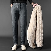preiswerte Laufhosen &amp; Leggings-Herren Winter-Jogginghose Shrepa Fleecehose Dick Mit Taschen Unterteile Fitnessstudio Athleisure Trainieren Herbst Winter Winddicht Warm Fitnessstudio Outdoor Laufen Normale Passform Sportbekleidung