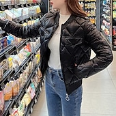 baratos Jaquetas acolchoadas-Mulheres Casaco puffer Casaco acolchoado Jaqueta casual Confortável Respirável Zíper Bolsos Casual Tecido Férias Rua Casual Roupa Diária Zíper Curto Colarinho Chinês Normal Manga Longa agasalhos