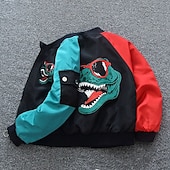 halpa Poikien baseball-takit-Lapset Sukupuolineutraali Baseball-takit Päällysvaatteet Väripalikka Pitkähihainen Vetoketju Kevyt Comfort Soft Takki ulko- Muoti Päivittäin Musta Apila Kevät Syksy 4 vuotta +