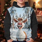 economico Magliette di Natale per Bambini-Natale Ragazzi 3D Grafico Ogni Felpa con Cappuccio Manica Lunga Primavera Autunno Moda Streetwear Bambini 4-12 Anni Con cappuccio All&#039;aperto Casuale Quotidiano Vestibilità regolare