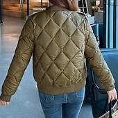 baratos Jaquetas acolchoadas-Mulheres Casaco puffer Casaco acolchoado Jaqueta casual Confortável Respirável Zíper Bolsos Casual Tecido Férias Rua Casual Roupa Diária Zíper Curto Colarinho Chinês Normal Manga Longa agasalhos