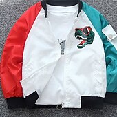 halpa Poikien baseball-takit-Lapset Sukupuolineutraali Baseball-takit Päällysvaatteet Väripalikka Pitkähihainen Vetoketju Kevyt Comfort Soft Takki ulko- Muoti Päivittäin Musta Apila Kevät Syksy 4 vuotta +