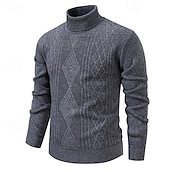 preiswerte Herrenpullover-Herren Pullover Strickpullover Gerippt Stricken Normale Oberteile Gestrickt Einfach Rollkragen Mode Basic Urlaub Alltagskleidung Bekleidung Herbst Winter Wein Schwarz S M L