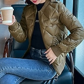 baratos Jaquetas acolchoadas-Mulheres Casaco puffer Casaco acolchoado Jaqueta casual Confortável Respirável Zíper Bolsos Casual Tecido Férias Rua Casual Roupa Diária Zíper Curto Colarinho Chinês Normal Manga Longa agasalhos