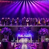 ieftine Proiectoare-36led telecomandă uv para lumină vopsire lumină violet efect lumină scenă lumină ktv bară