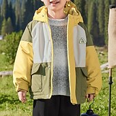 baratos Casacos de Exterior para Rapazes-Infantil Para Meninos Jaqueta de Trilha Jaqueta para atividades ao ar livre agasalhos Bloco de cor Manga Longa Zíper Bolsos Comfort IMPERMEÁVEL A prova de Vento Casaco Ao ar livre Moda Diário Verde