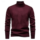 preiswerte Herrenpullover-Herren Pullover Strickpullover Gerippt Stricken Normale Oberteile Gestrickt Einfach Rollkragen Mode Basic Urlaub Alltagskleidung Bekleidung Herbst Winter Wein Schwarz S M L