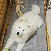 ieftine Husă pentru canapea pentru animale de companie-Pat mare pentru câini și pisici saltea reversibilă din pluș pentru animale de companie pat canapea confortabil pentru câini mat popular pe rețelele sociale pentru animale de companie cuib moale