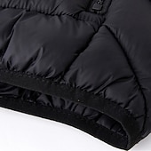 preiswerte Herren Steppweste-Herren Steppweste Weste Gilet Urlaub Täglich Date Mode Lässig Herbst Winter Tasche Nylon Warm Bequem Einfarbig Reisverschluss Mit Kapuze Normale Passform Schwarz Burgunderrot Armeegrün Dunkelblau