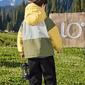 baratos Casacos de Exterior para Rapazes-Infantil Para Meninos Jaqueta de Trilha Jaqueta para atividades ao ar livre agasalhos Bloco de cor Manga Longa Zíper Bolsos Comfort IMPERMEÁVEL A prova de Vento Casaco Ao ar livre Moda Diário Verde