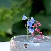 levne pribor za njegu biljaka-20 ks kreativních plovoucích držáků na květinové aranžmá – minimalistická váza ve stylu wabi-sabi, květináč na čerstvé nebo hydroponické květiny, dekorace do obývacího pokoje