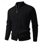 preiswerte Herren Strickjacke-Herren Strickjacke Kurzer Pullover Reißverschluss-Pullover Strickpullover Gerippt Stricken Normale Oberteile Reißverschluss Einfach Stehkragen Mode Klassisch Urlaub Alltagskleidung Bekleidung Herbst