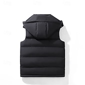 levne Pánská péřová vesta-Pánské Puffer Vesta Kamizelka Vesta Dovolená Denní Rande Módní Na běžné nošení Podzim Zima Kapsy Polyester Zahřívací Pohodlné Pevná barva Zip Kapuce Běžný Černá Vodní modrá Vesta