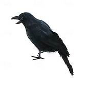 billiga Figuriner &amp; prydnadsföremål-2-pack halloween svarta befjädrade kråkor, svarta kråkor med riktiga fjädrar halloweendekoration för inomhus utomhus (26*6*12cm)