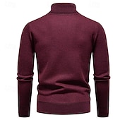 preiswerte Herrenpullover-Herren Pullover Strickpullover Gerippt Stricken Normale Oberteile Gestrickt Einfach Rollkragen Mode Basic Urlaub Alltagskleidung Bekleidung Herbst Winter Wein Schwarz S M L