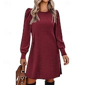 cheap Sweater Dresses-Women&#039;s Mini Dress Casual Dress Elegant Fashion Modern Outdoor Daily Going out Regular Fit Plain Long Sleeve Crew Neck Black Pink Red Blue Spring Autumn
