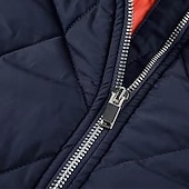 abordables Plumas y parkas de hombre-Hombre Abrigo de invierno Chaqueta acolchada Anorak Bolsillo Poliéster Bolsillo Vacaciones Ropa Cotidiana Cita Regular Moda Casual Cómodo Mantiene abrigado Otoño Invierno Color sólido/liso Vino Negro