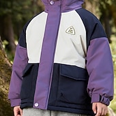 baratos Casacos de Exterior para Rapazes-Infantil Para Meninos Jaqueta de Trilha Jaqueta para atividades ao ar livre agasalhos Bloco de cor Manga Longa Zíper Bolsos Comfort IMPERMEÁVEL A prova de Vento Casaco Ao ar livre Moda Diário Verde