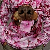 billiga Pojkens 3D-djur-Pojkar 3D Blommig Hund T-shirt Långärmad Vår Höst Mode Grundläggande Barn 4-12 år Rund hals Utomhus Ledigt Dagligen Normal
