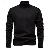 preiswerte Herrenpullover-Herren Pullover Strickpullover Gerippt Stricken Normale Oberteile Gestrickt Einfach Rollkragen Mode Basic Urlaub Alltagskleidung Bekleidung Herbst Winter Wein Schwarz S M L