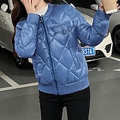 baratos Jaquetas acolchoadas-Mulheres Casaco puffer Casaco acolchoado Jaqueta casual Confortável Respirável Zíper Bolsos Casual Tecido Férias Rua Casual Roupa Diária Zíper Curto Colarinho Chinês Normal Manga Longa agasalhos