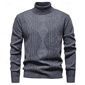 preiswerte Herrenpullover-Herren Pullover Strickpullover Gerippt Stricken Normale Oberteile Gestrickt Einfach Rollkragen Mode Basic Urlaub Alltagskleidung Bekleidung Herbst Winter Wein Schwarz S M L