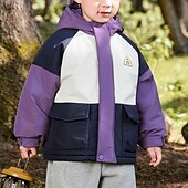 baratos Casacos de Exterior para Rapazes-Infantil Para Meninos Jaqueta de Trilha Jaqueta para atividades ao ar livre agasalhos Bloco de cor Manga Longa Zíper Bolsos Comfort IMPERMEÁVEL A prova de Vento Casaco Ao ar livre Moda Diário Verde