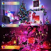 halpa Loma-merkkijono valot-Valot 20M/66FT 200 LED HelmiäTuya Häät Festivaali Sisä- ja Ulkotilassa Piha IP68 Kestävä Värikäs Valosarja Bluetooth APP Kauko-ohjaus Värikäs Nahkajohto Valosarja Usb