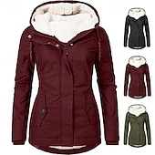 abordables Parka Décontractée-Femmes Manteau d&#039;Hiver Veste à Capuche Chaud Confortable Fermeture éclair Avec Poches Occasionnel Uni Extérieur Vacances Tenue quotidienne Week-end Régulier À capuche Coupe régulière manche longue