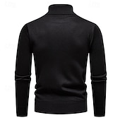 preiswerte Herrenpullover-Herren Pullover Strickpullover Gerippt Stricken Normale Oberteile Gestrickt Einfach Rollkragen Mode Basic Urlaub Alltagskleidung Bekleidung Herbst Winter Wein Schwarz S M L