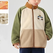 billiga Pojkars utomhusjackor-Barn Pojkar Fleece-jacka Friluftsjacka Kappa Ytterkläder Färgblock Långärmad Dragkedja Ficka Komfort Håller värmen Mjukt Täcka Utomhus Mode Dagligen Rodnande Rosa Grön Vår Höst 4 år +