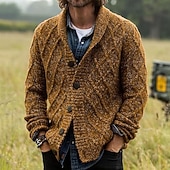 abordables Gilet-Homme Pull Gilet Cardigan Torsadé Tricoter Court Tricoté Uni Col châle Vacances Mode Occasionnel Tenue quotidienne Vêtement Tenue Automne Printemps &amp; Automne Marron M L XL