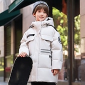 billiga Pojkars dunjacka och parka-Barn Unisex Dunjacka Friluftsjacka Pufferjacka Ytterkläder Ensfärgat Långärmad Håller värmen Vindtät Täcka Utomhus Dagligen Grundläggande Svart Beige Höst Vinter 4 år +