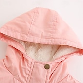 billiga Casual Parka-Dam Anorak Håller värmen Bekväm Dragkedja Ficka Med bälte Ledigt Ensfärgat Semester Gata Ledigt Dagliga kläder Lång Huva Normal Långärmad Ytterkläder Marin Svart Rodnande Rosa Höst Vinter