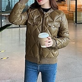 baratos Jaquetas acolchoadas-Mulheres Casaco puffer Casaco acolchoado Jaqueta casual Confortável Respirável Zíper Bolsos Casual Tecido Férias Rua Casual Roupa Diária Zíper Curto Colarinho Chinês Normal Manga Longa agasalhos