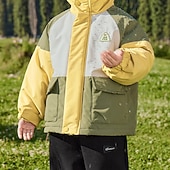 baratos Casacos de Exterior para Rapazes-Infantil Para Meninos Jaqueta de Trilha Jaqueta para atividades ao ar livre agasalhos Bloco de cor Manga Longa Zíper Bolsos Comfort IMPERMEÁVEL A prova de Vento Casaco Ao ar livre Moda Diário Verde