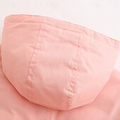 billiga Casual Parka-Dam Anorak Håller värmen Bekväm Dragkedja Ficka Med bälte Ledigt Ensfärgat Semester Gata Ledigt Dagliga kläder Lång Huva Normal Långärmad Ytterkläder Marin Svart Rodnande Rosa Höst Vinter