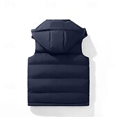 levne Pánská péřová vesta-Pánské Puffer Vesta Kamizelka Vesta Dovolená Denní Rande Módní Na běžné nošení Podzim Zima Kapsy Polyester Zahřívací Pohodlné Pevná barva Zip Kapuce Běžný Černá Vodní modrá Vesta