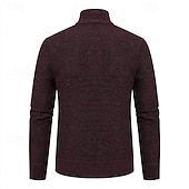 Męskie Sweter Rozpinany Przycięty sweter Sweter z zamkiem Sweter z dzianiny Prążkowany Robić na drutach Zwykłe topy Niejednolita całość Kieszeń Równina Kołnierz stawiany Moda Klasyczny Urlop Dzienne tanie męski sweter rozpinany-Męskie Sweter Rozpinany Przycięty sweter Sweter z zamkiem Sweter z dzianiny Prążkowany Robić na drutach Zwykłe topy Niejednolita całość Kieszeń Równina Kołnierz stawiany Moda Klasyczny Urlop Dzienne