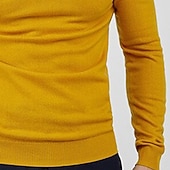 preiswerte Herrenpullover-Herren Pullover Gerippt Stricken Normale Oberteile Gestrickt Schmale Passform Einfach Rollkragen Strickware Zeitgenössisch Lässig Alltagskleidung Bekleidung Frühling Herbst Winter Schwarz Gelb M L XL